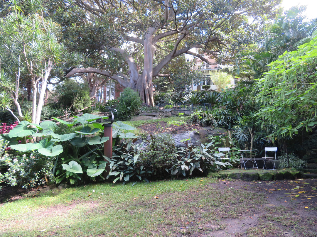 Wendy Whiteley's Secret Garden-北悉尼必去景点