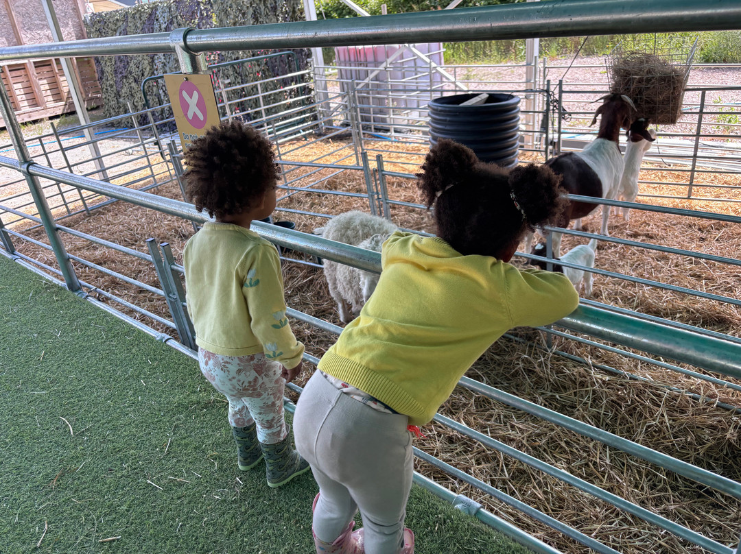 Manorafon Farm Park-Abergele必去景点