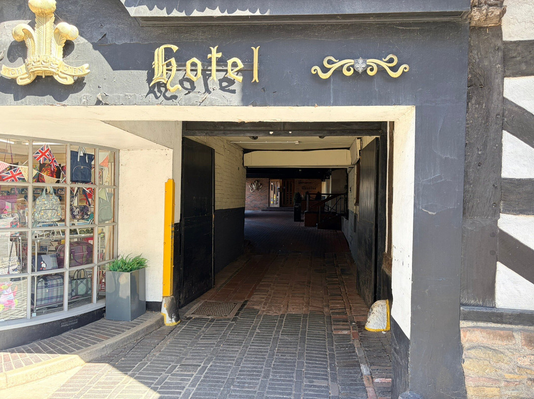 羽毛酒店主图