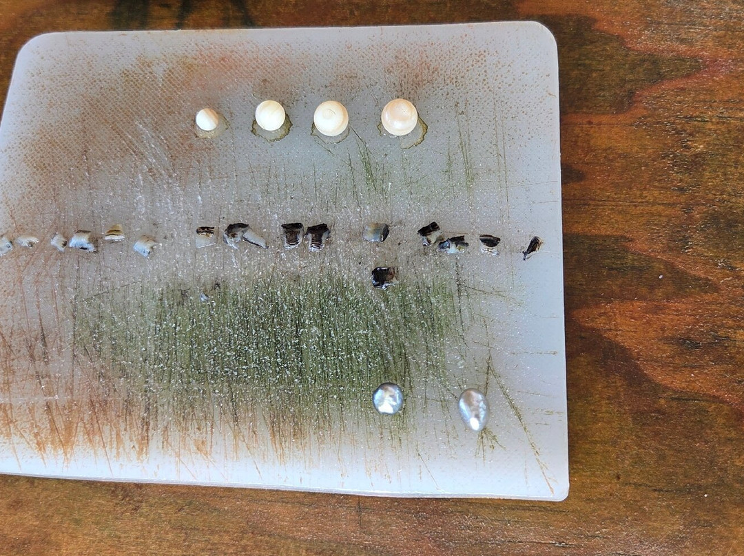 Huahine Pearl Farm-Huahine必去景点