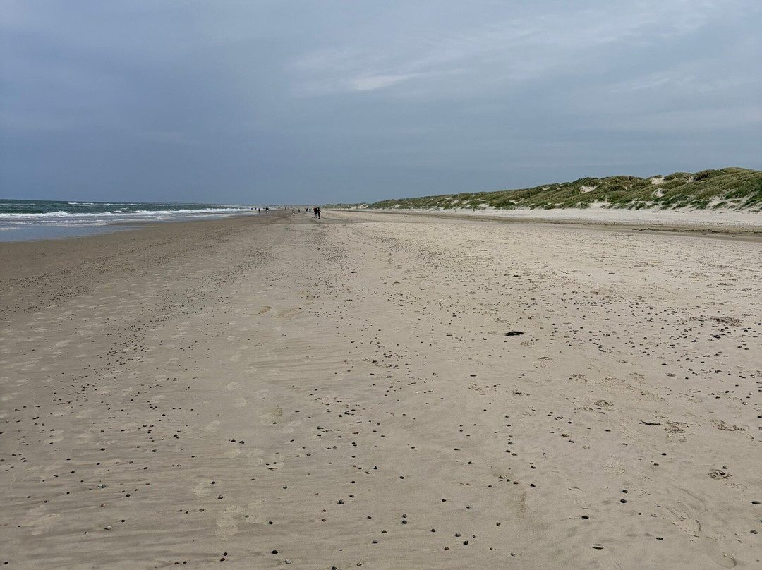 Henne Strand-Henne Strand必去景点