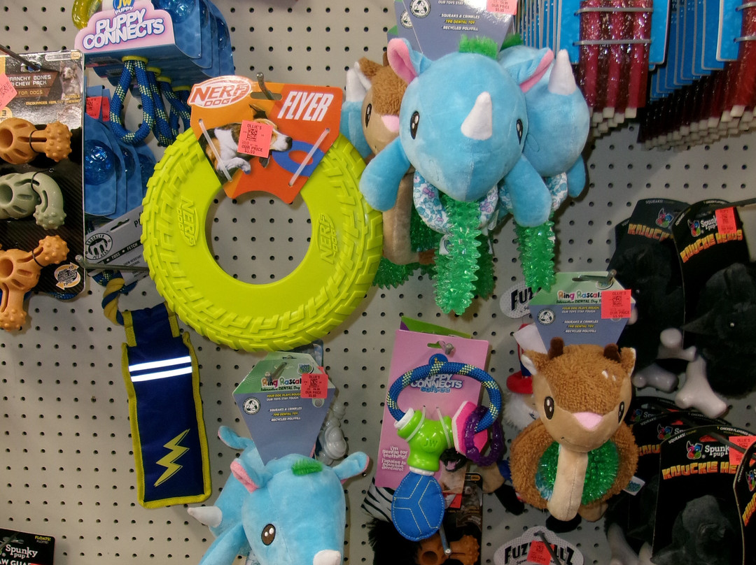 Ollie's Bargain Outlet-Sanford必去景点