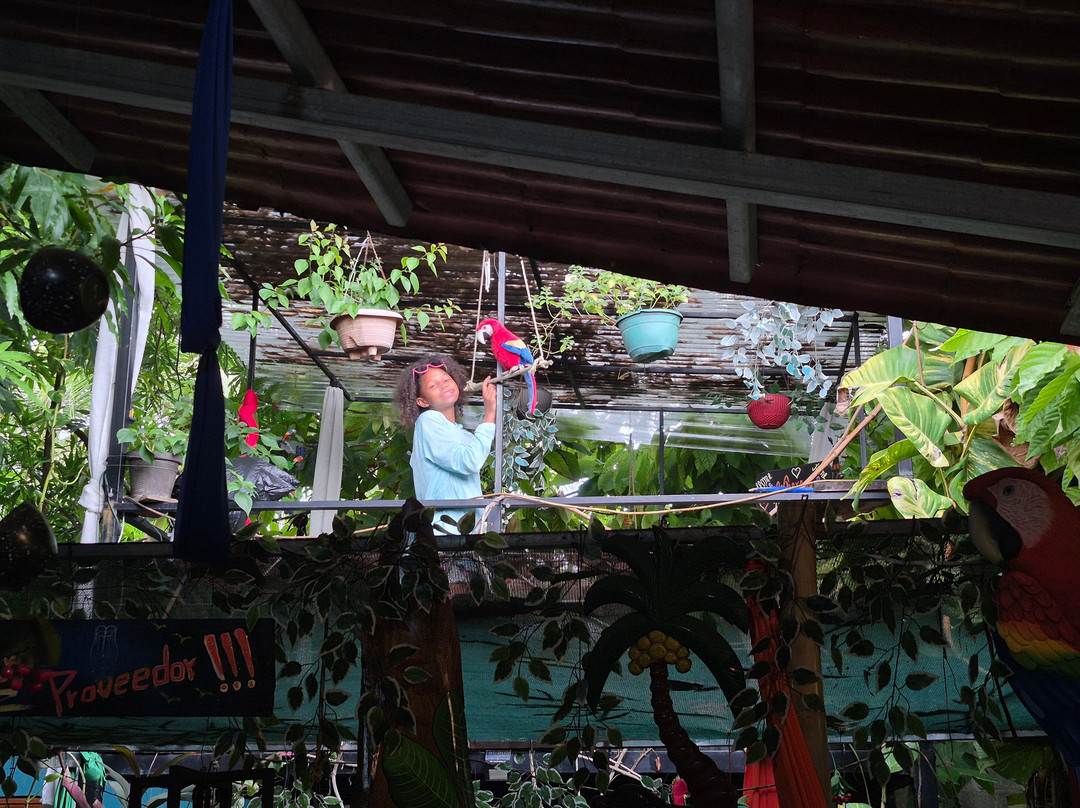 Cafetería Ara Macao