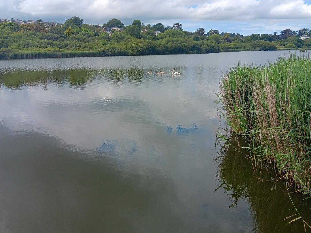 Swanpool Beach-法尔茅斯必去景点