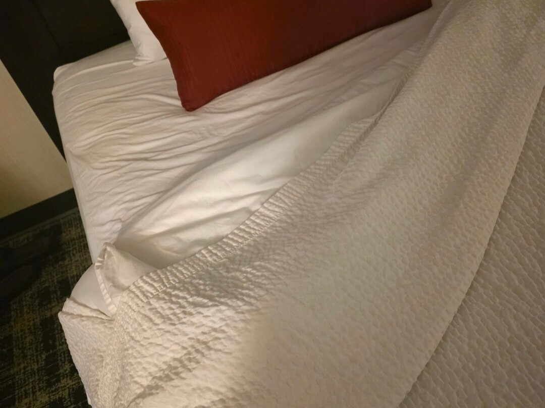 贾斯珀马默特旅舍主图