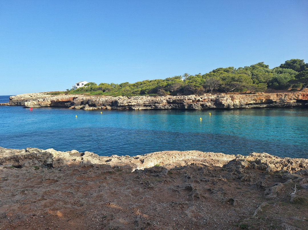 Globales Cala Blanca主图
