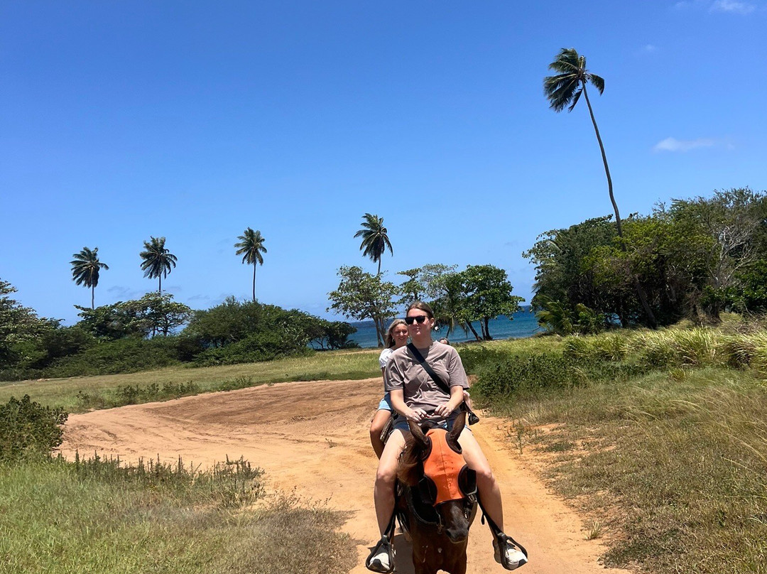Playuelas Horse Rides-Aguadilla必去景点