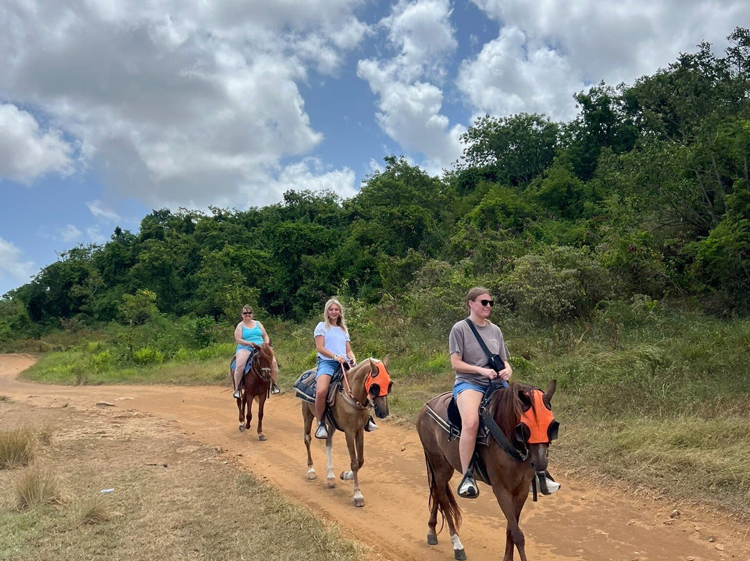 Playuelas Horse Rides-Aguadilla必去景点