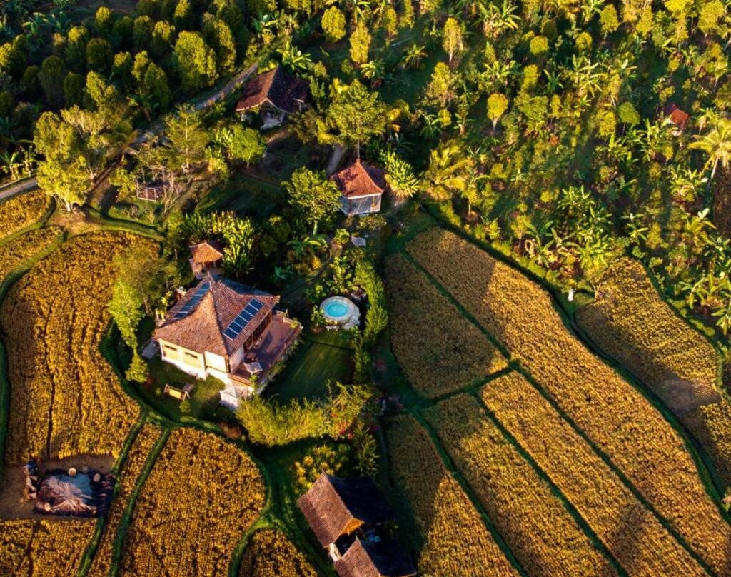 North Bali Eco Cabin Nature Retreat