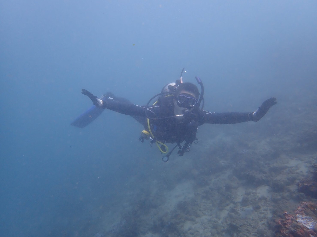 Jellyfish Divers Village-沙努尔必去景点
