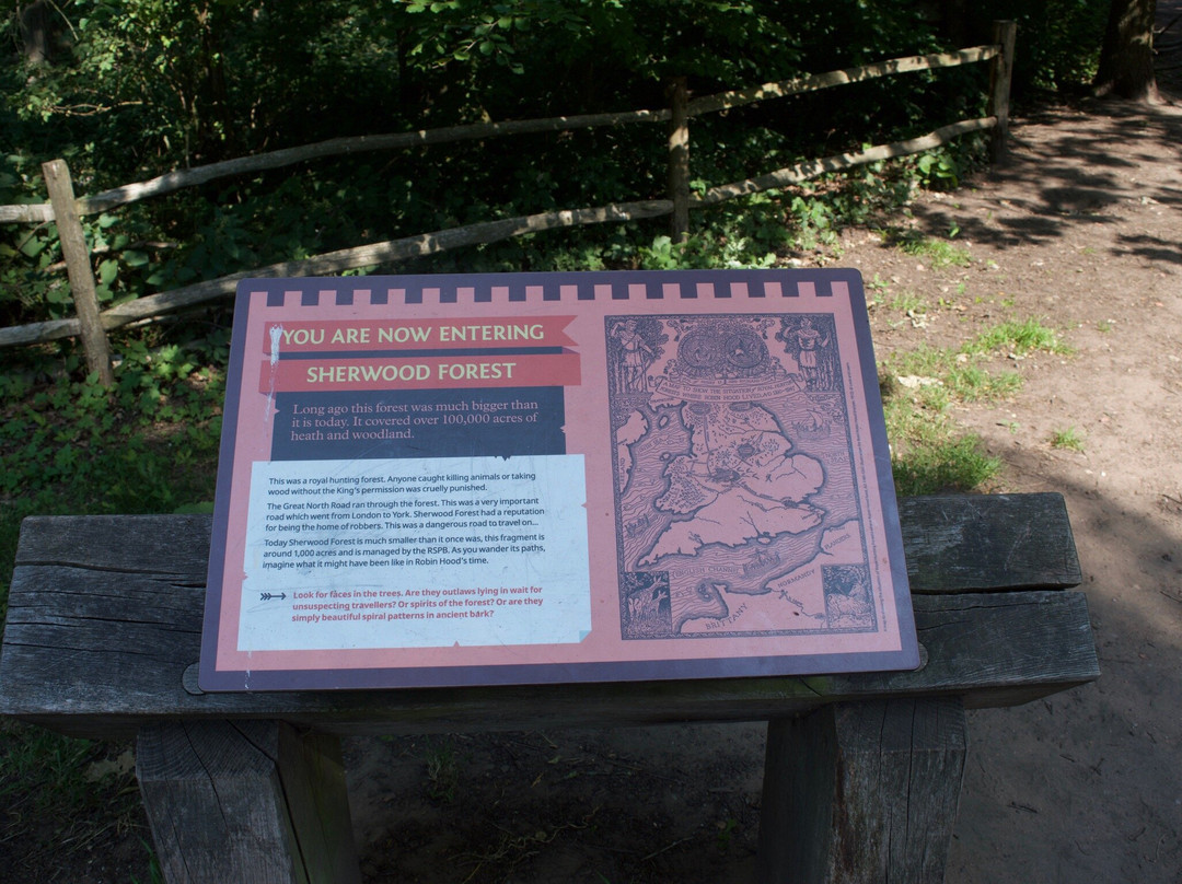Sherwood Forest Visitor Centre-Edwinstowe必去景点