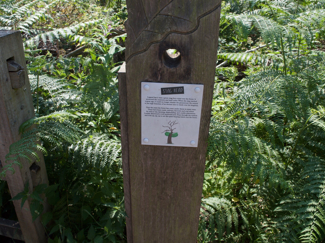 Sherwood Forest Visitor Centre-Edwinstowe必去景点