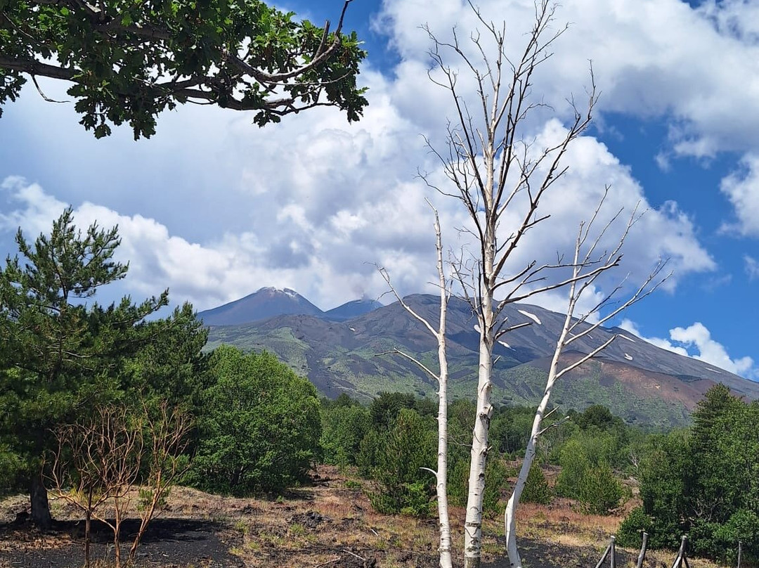 Etna Tour Excursion-Zafferana Etnea必去景点