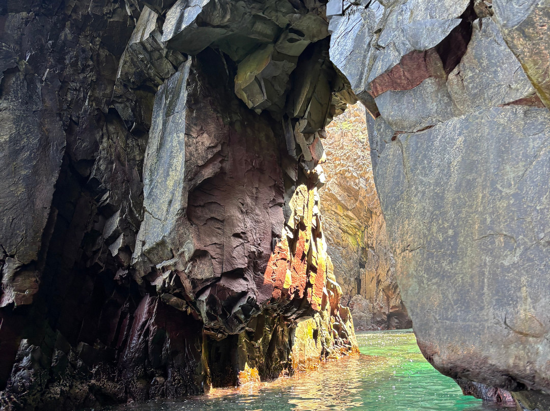 Discovery Sea Adventures-Bonavista必去景点