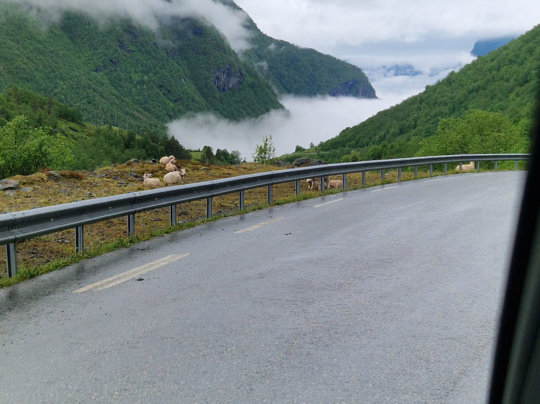 Sognefjellsvegen-Lom必去景点