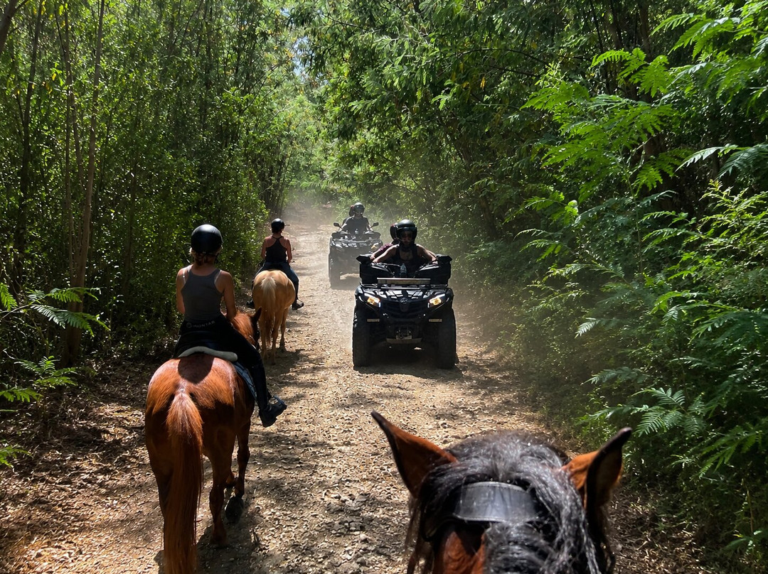 ATV & Horse Tours Central Portugal