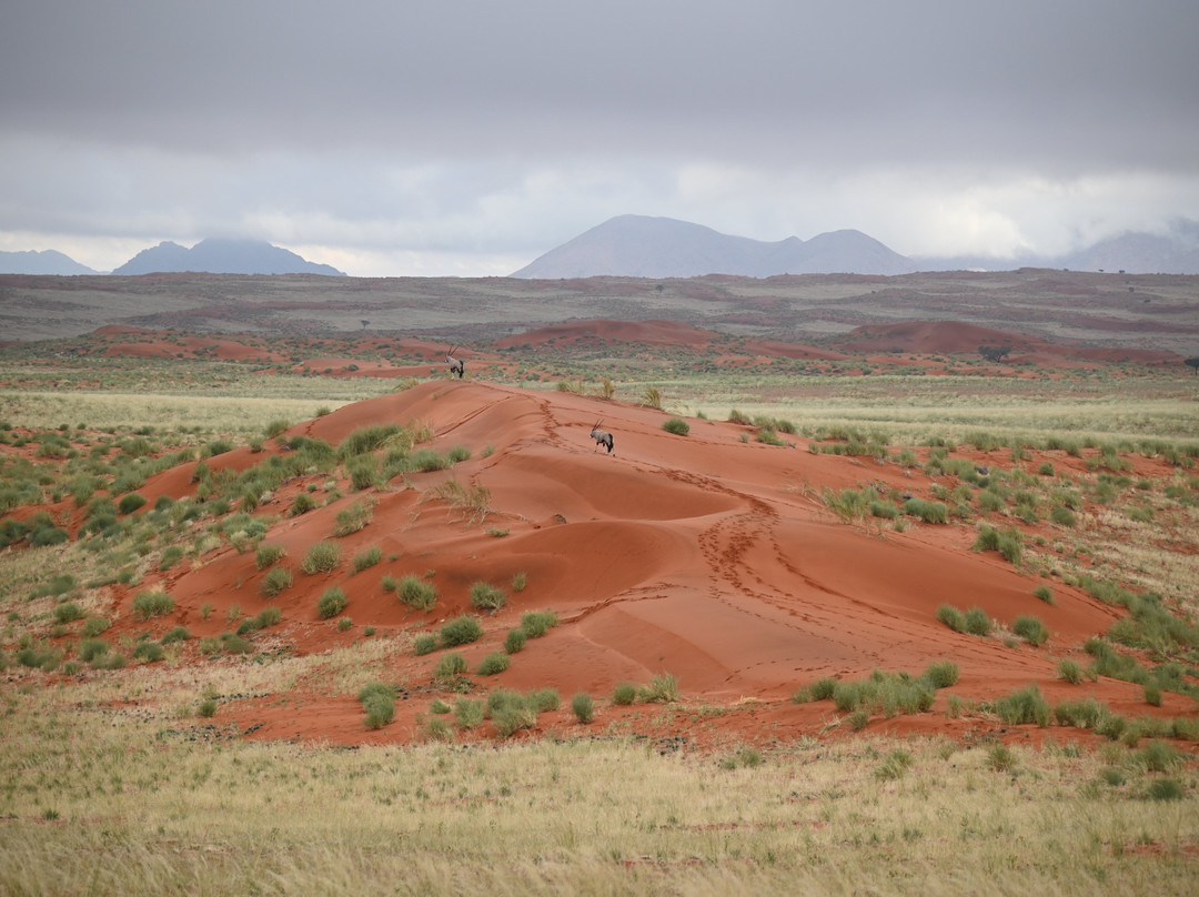Wolwedans Desert lodge