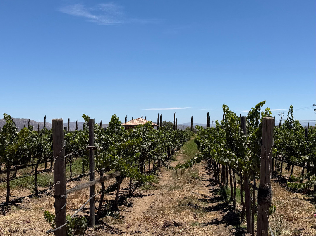 El Cielo Valle de Guadalupe-Valle de Guadalupe必去景点