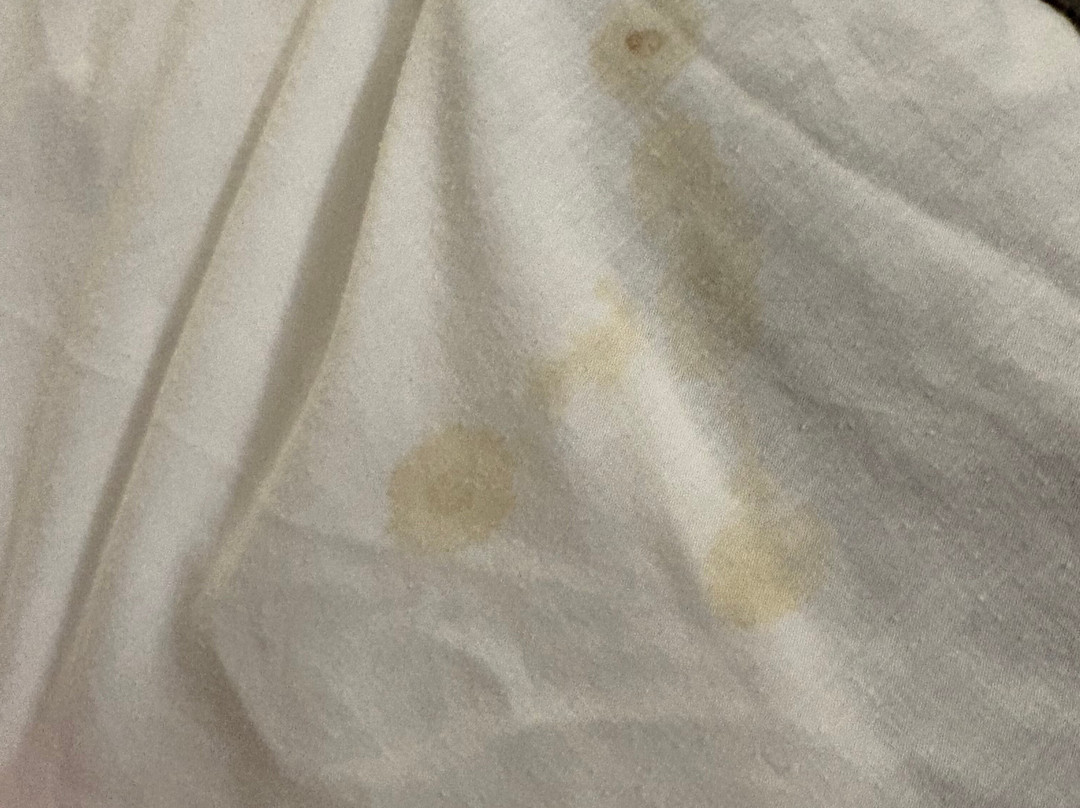 哥伦比亚哈比森凯悦嘉轩酒店主图