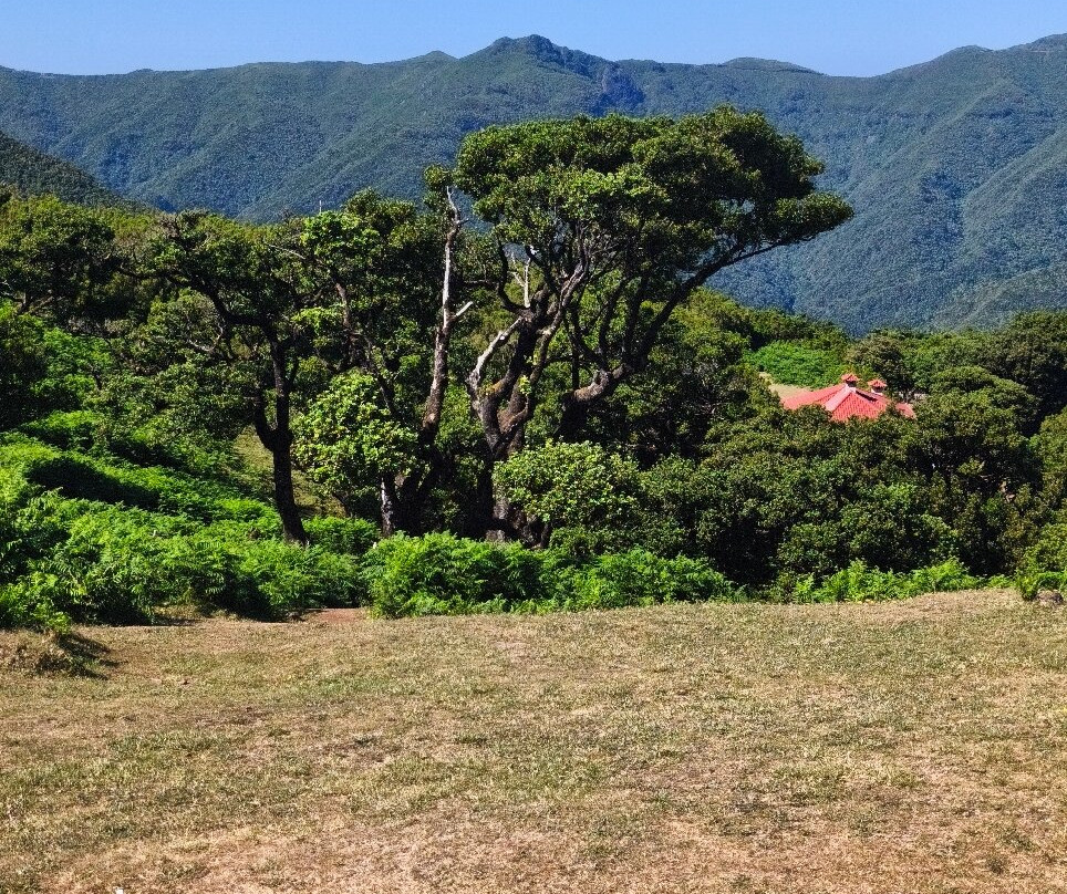 Posto Florestal Fanal-莫尼什港必去景点