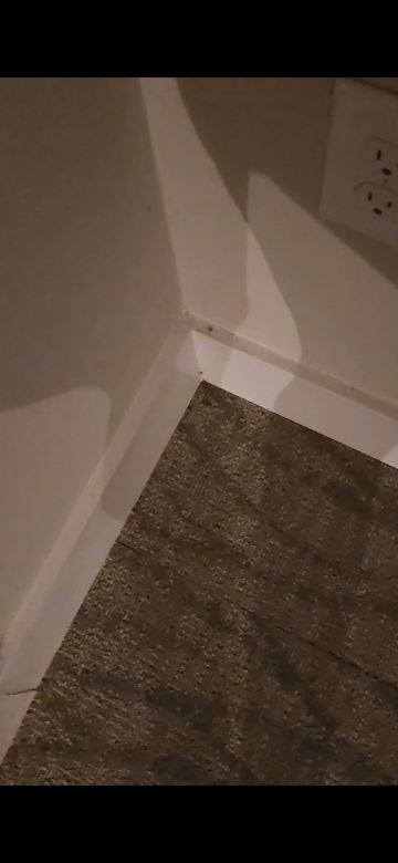 克莱门森湖畔旅馆-旅行者