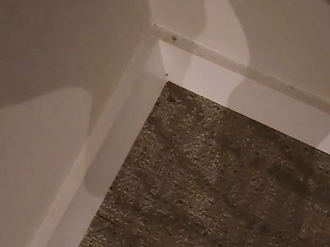 克莱门森湖畔旅馆主图