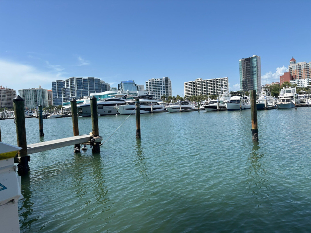 Bayfront Park-萨拉索塔必去景点
