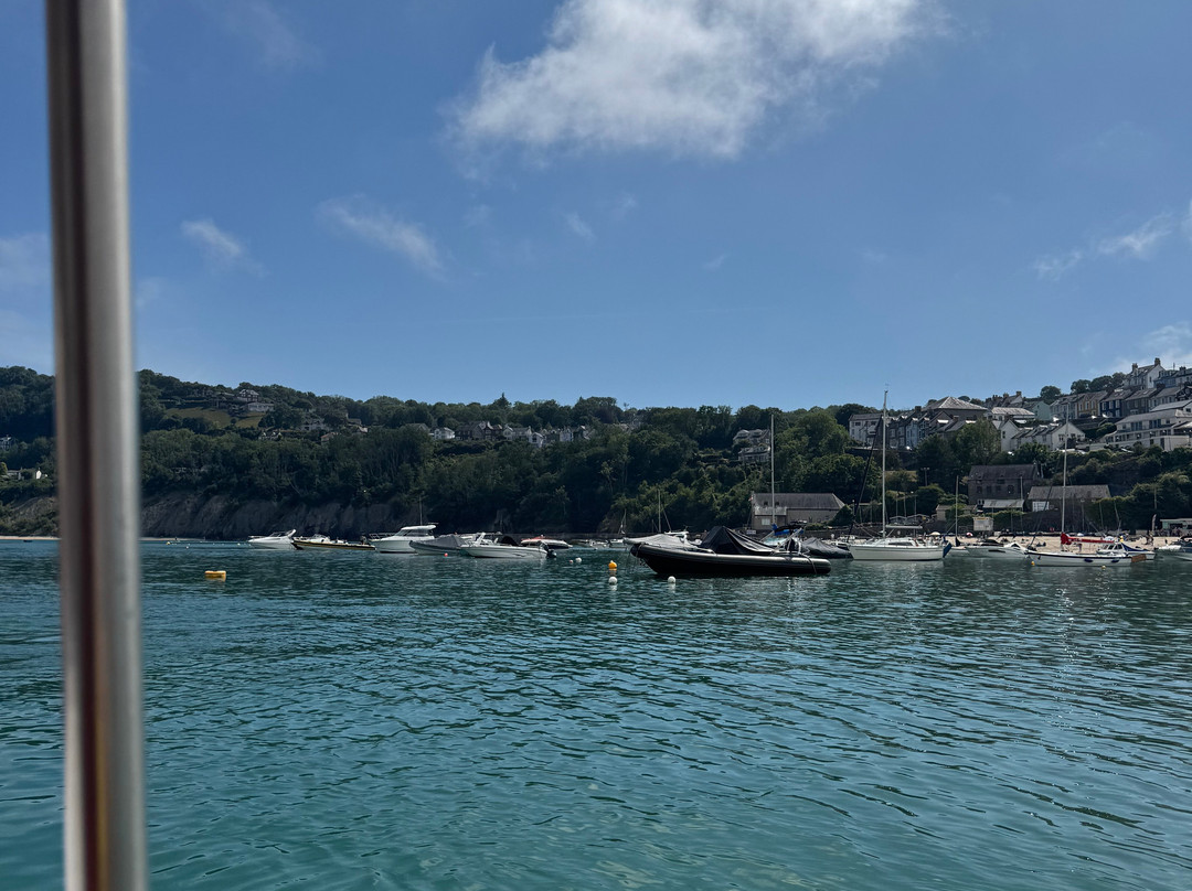 Dolphin Spotting Boat Trips (by New Quay Boat Trips)-纽基必去景点