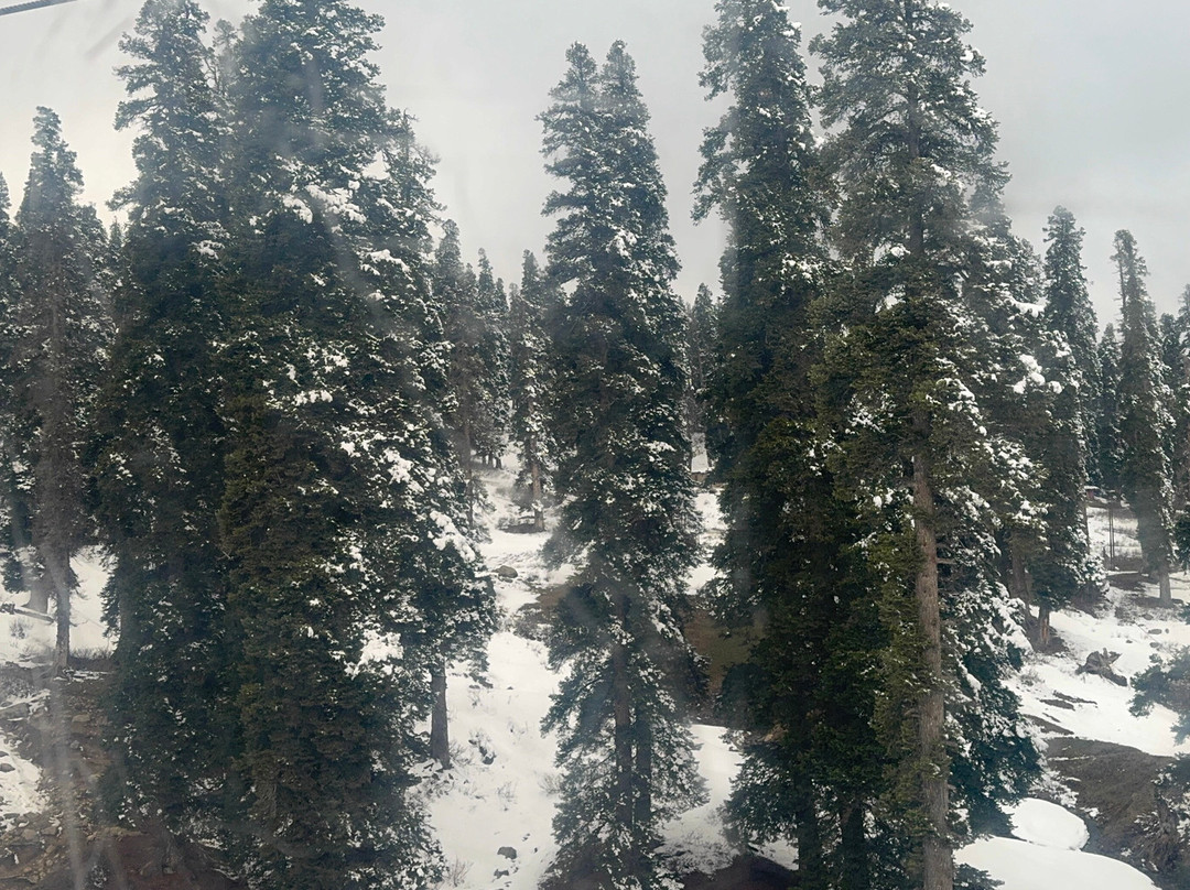 Gulmarg Gondola-贡马必去景点