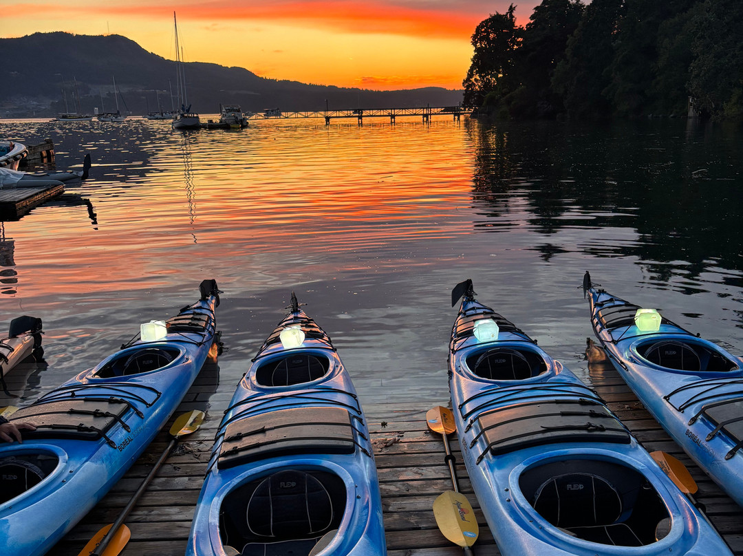 Pacifica Paddle Sports-Brentwood Bay必去景点