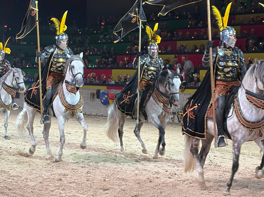 Medieval Times-绍姆堡必去景点