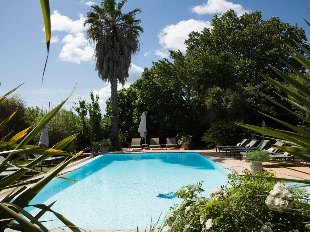 Domaine Sesquier