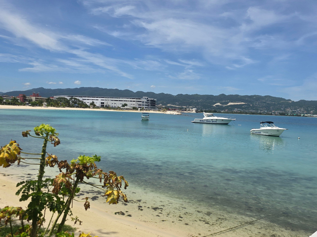 Thriller Tours Jamaica-内格里尔必去景点