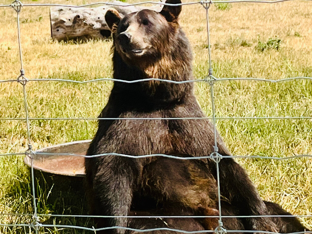 Wolds Wildlife Park-Horncastle必去景点