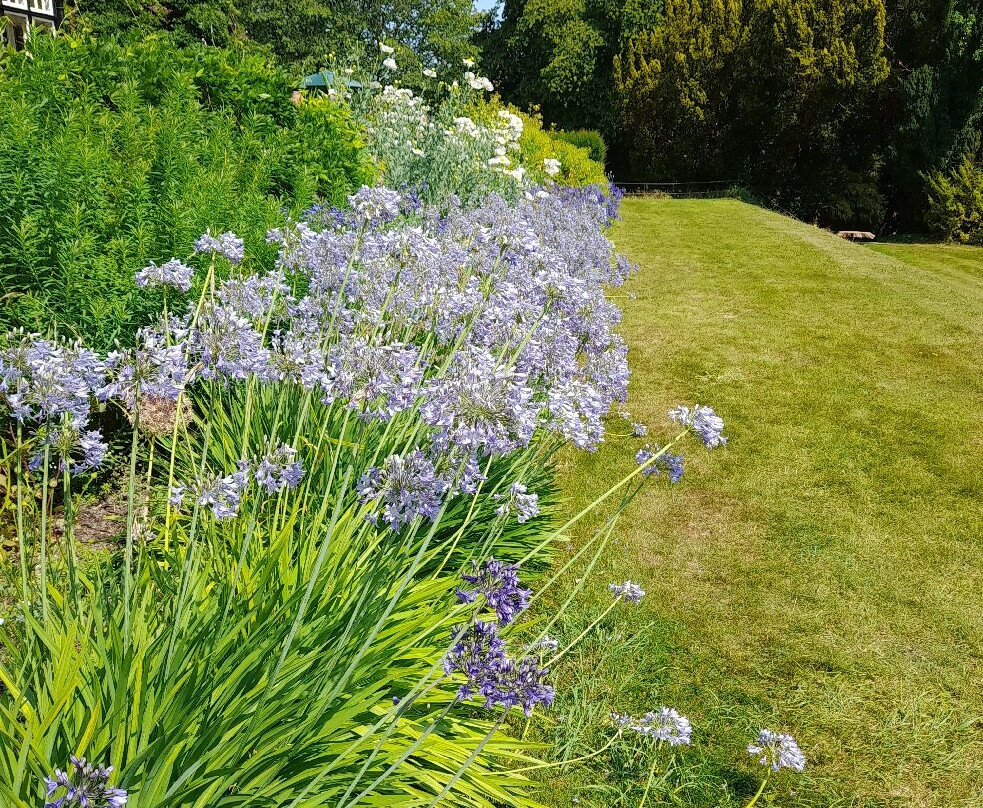 Hergest Croft Gardens-Kington必去景点
