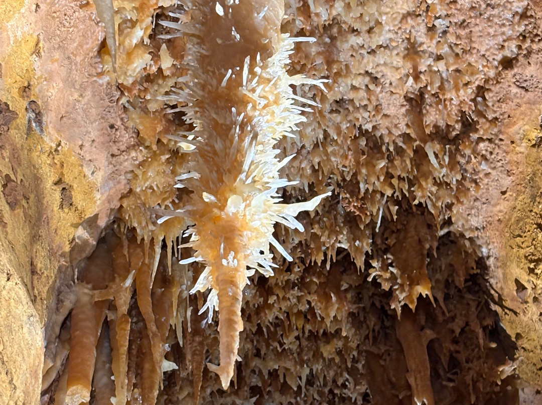 La grotte de Maxange-Le Buisson-de-Cadouin必去景点