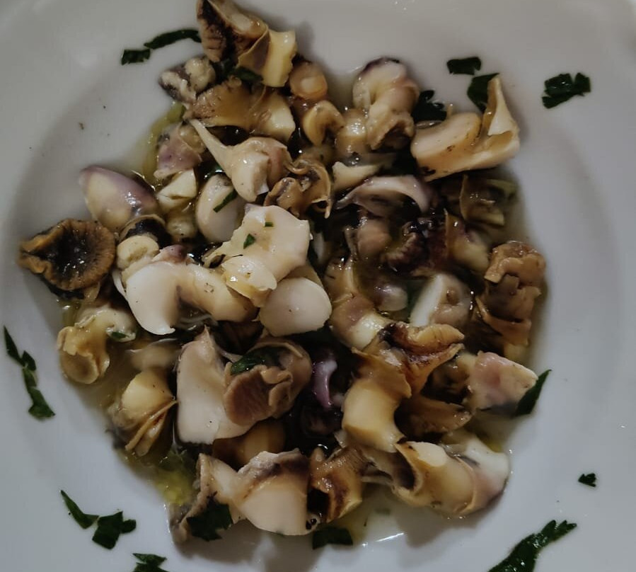 Home Restaurant Sansó