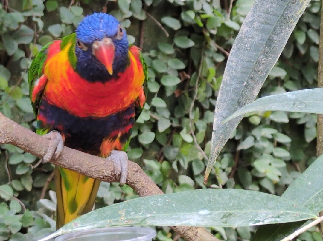 Butterfly Park-Castello d'Empuries必去景点