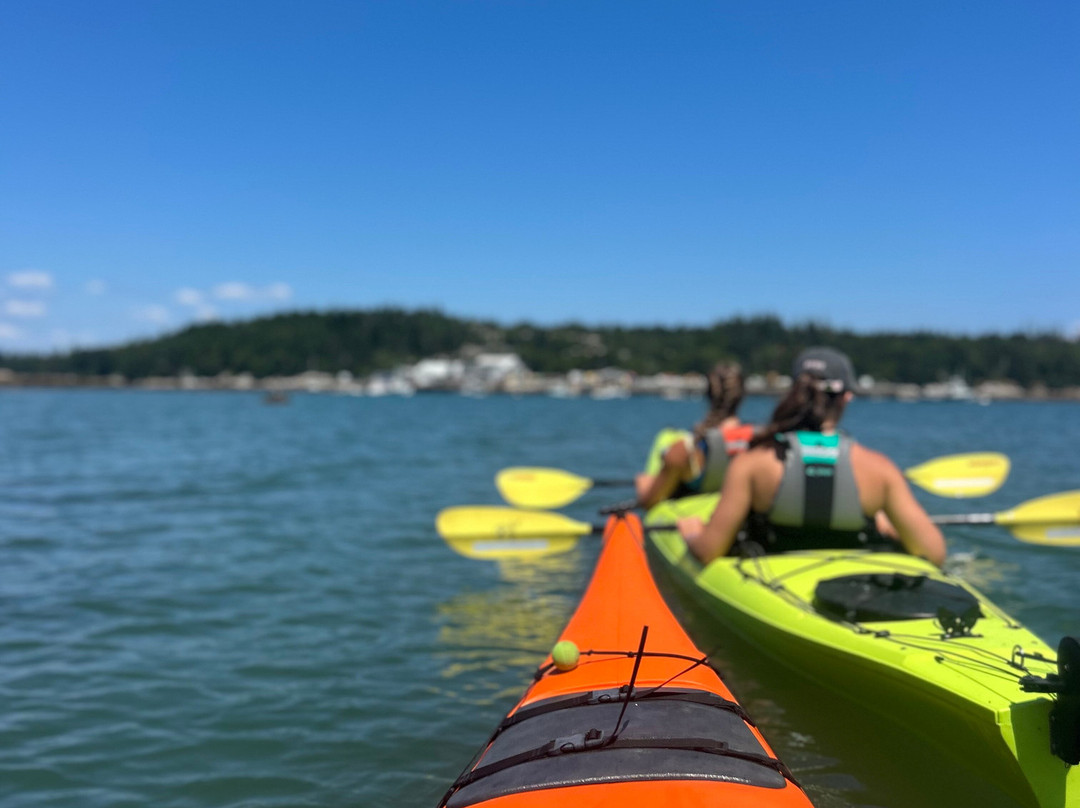Osprey's Echo Sea Kayaking-Stonington必去景点
