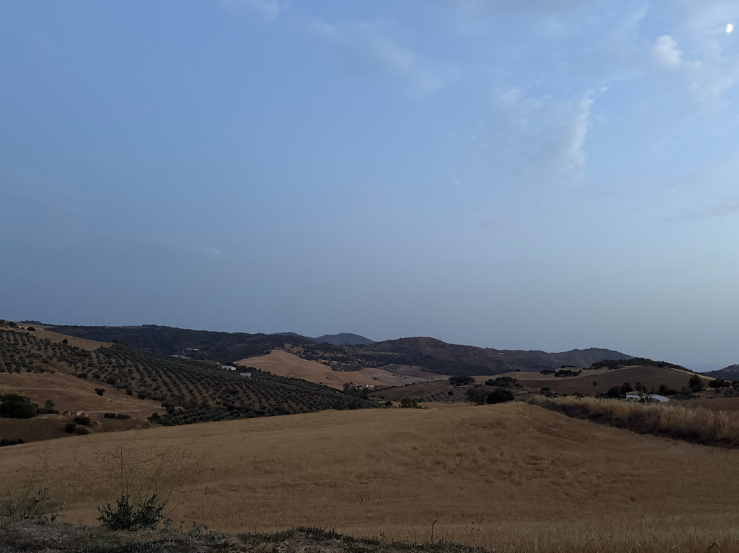 Finca Las Campanas II