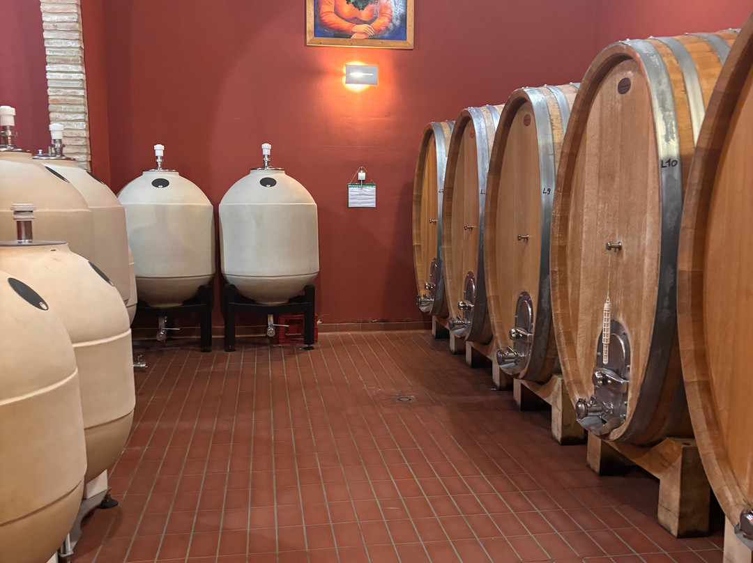 Terenzi Winery-Scansano必去景点
