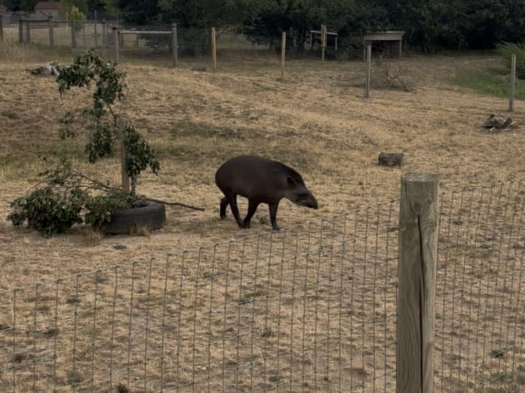Yorkshire Wildlife Park-Auckley必去景点