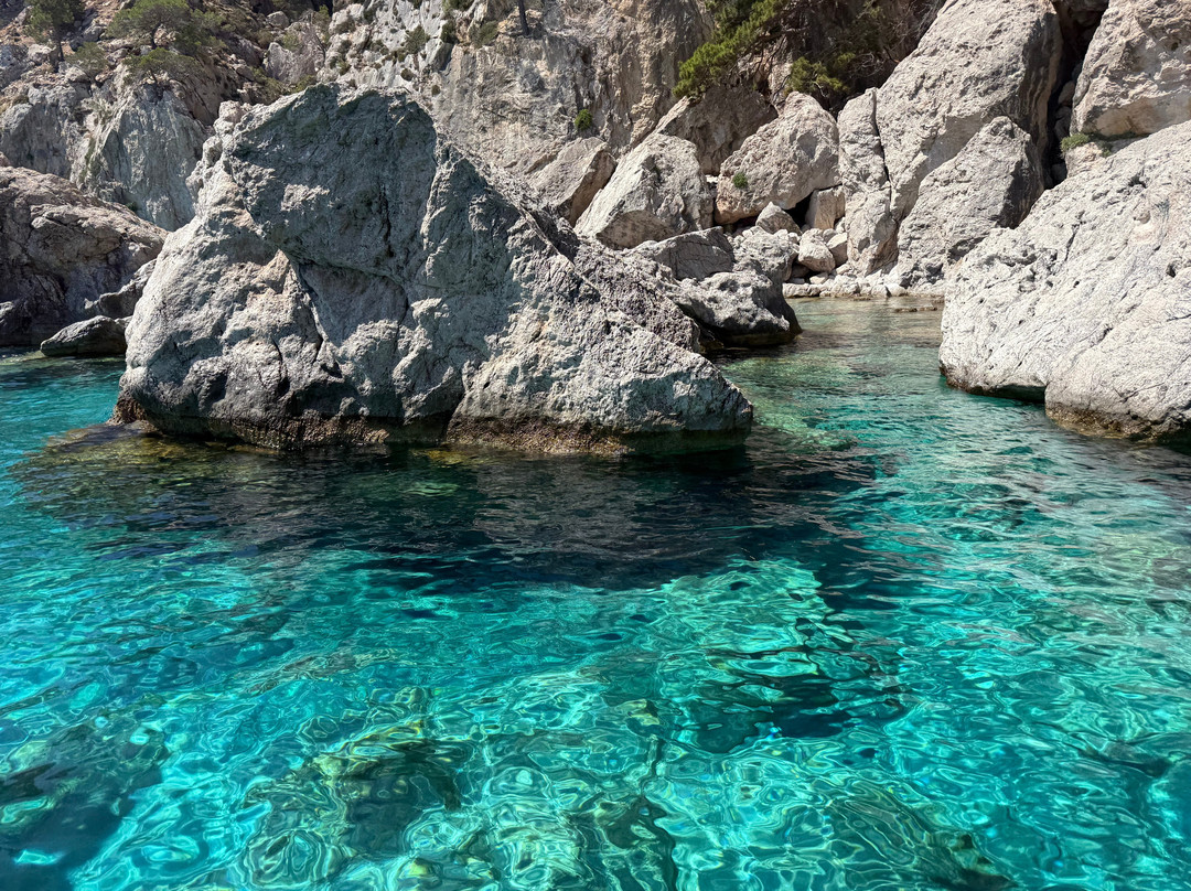 Pegasus High Speed Sea Taxi "Private Beach Excursions"-Spoa必去景点