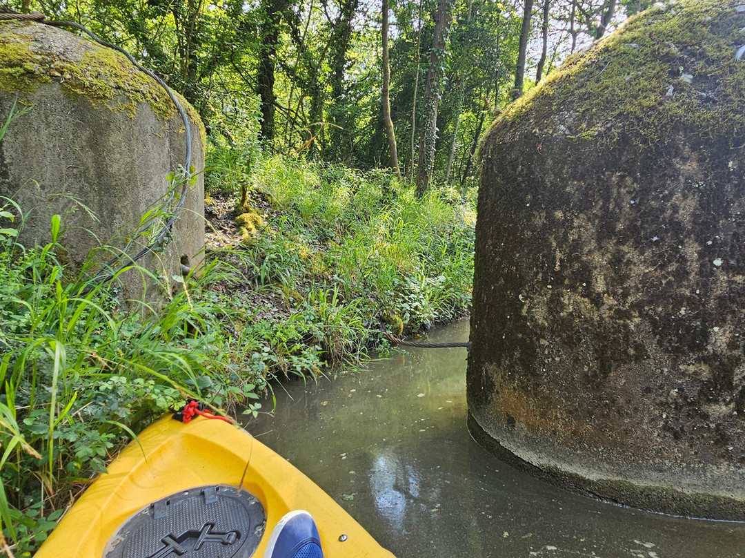 Basingstoke Canal-Mytchett必去景点