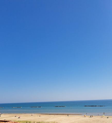 安科酒店-旅行者