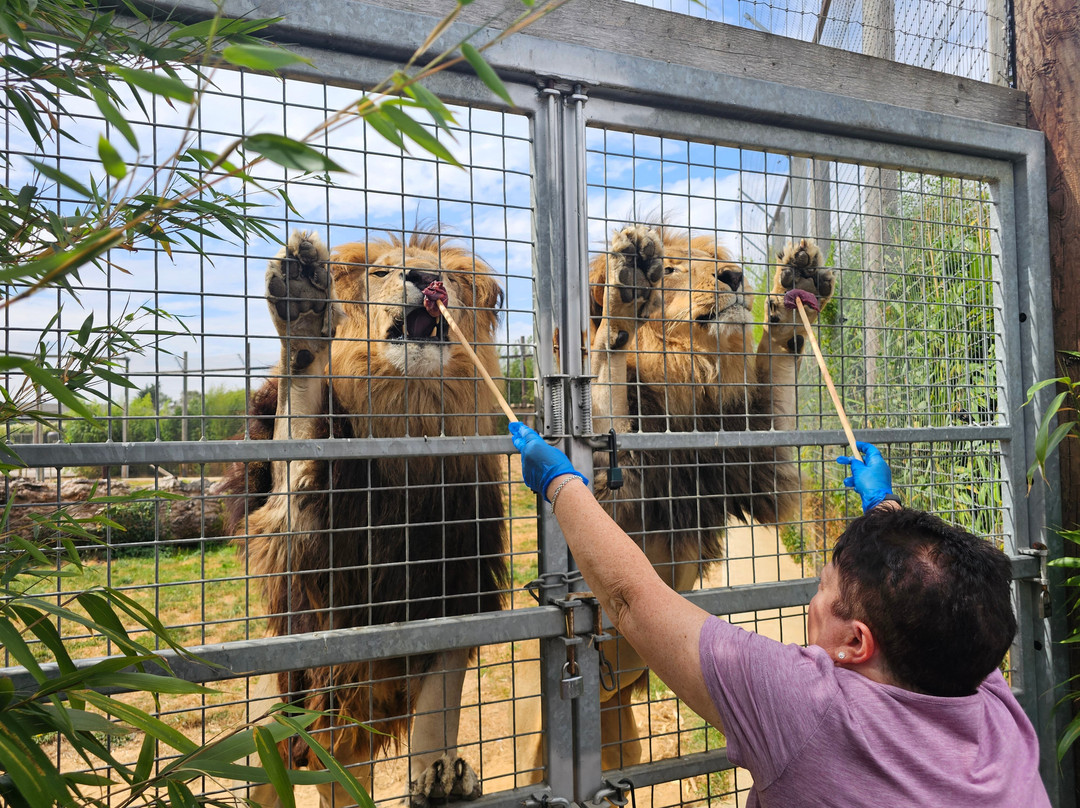 Wolds Wildlife Park-Horncastle必去景点