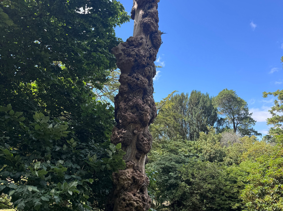 Pencarrow House and Gardens-Washaway必去景点