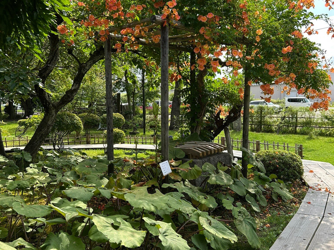 Oyakuen Garden-会津若松市必去景点