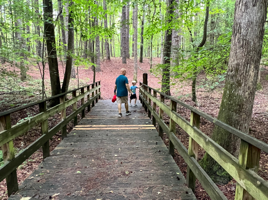 Clemmons Educational State Forest-Clayton必去景点