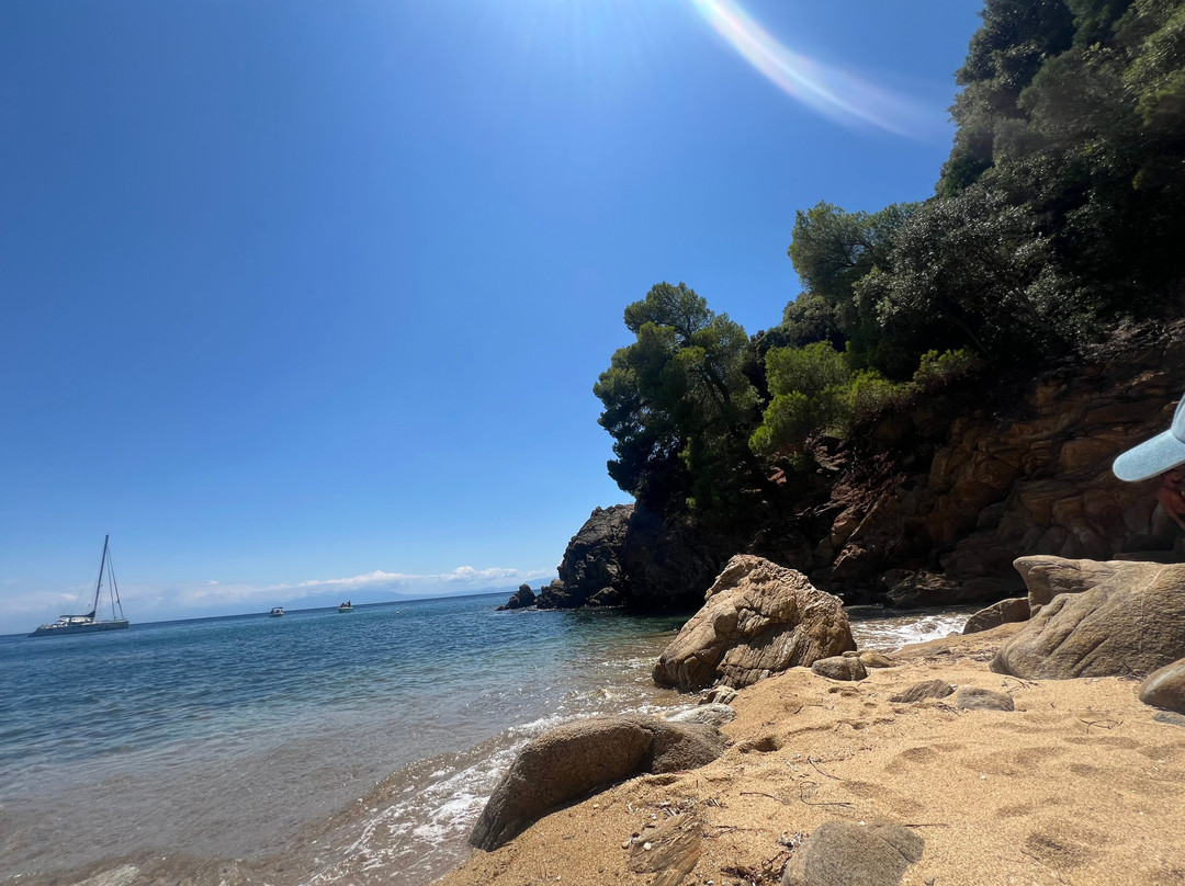 Diamandi Beach-斯亚索斯必去景点